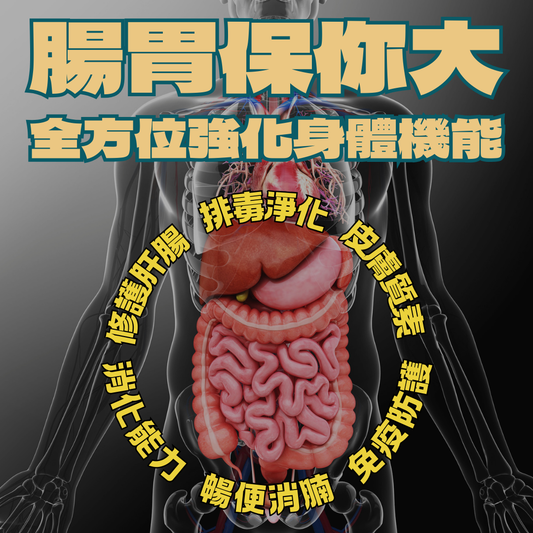 【低至86折】腸胃保你大【套裝:自家基本營養+廿二世紀肝淨腸動方案】