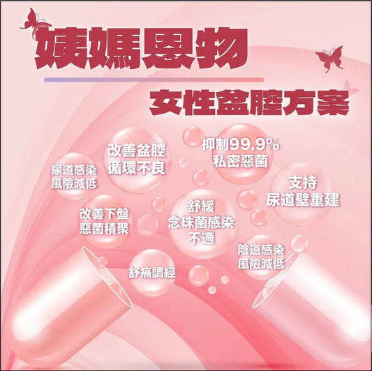 女性盆腔方案