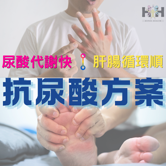 抗尿酸方案