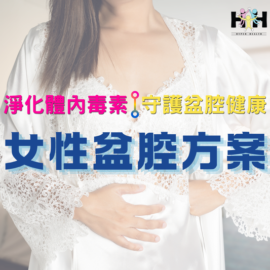 女性盆腔方案