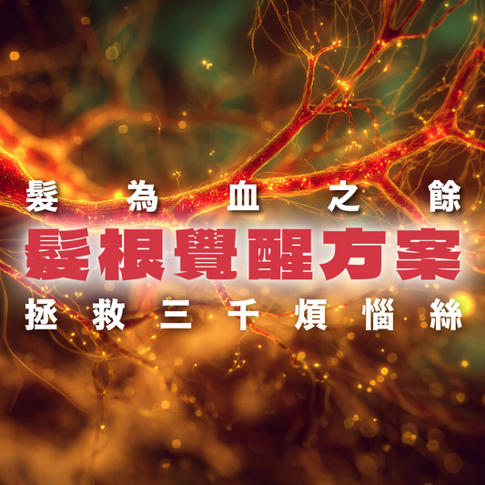 頭髮方案