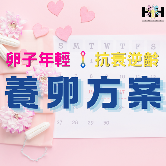 【5月出爐】養卵方案