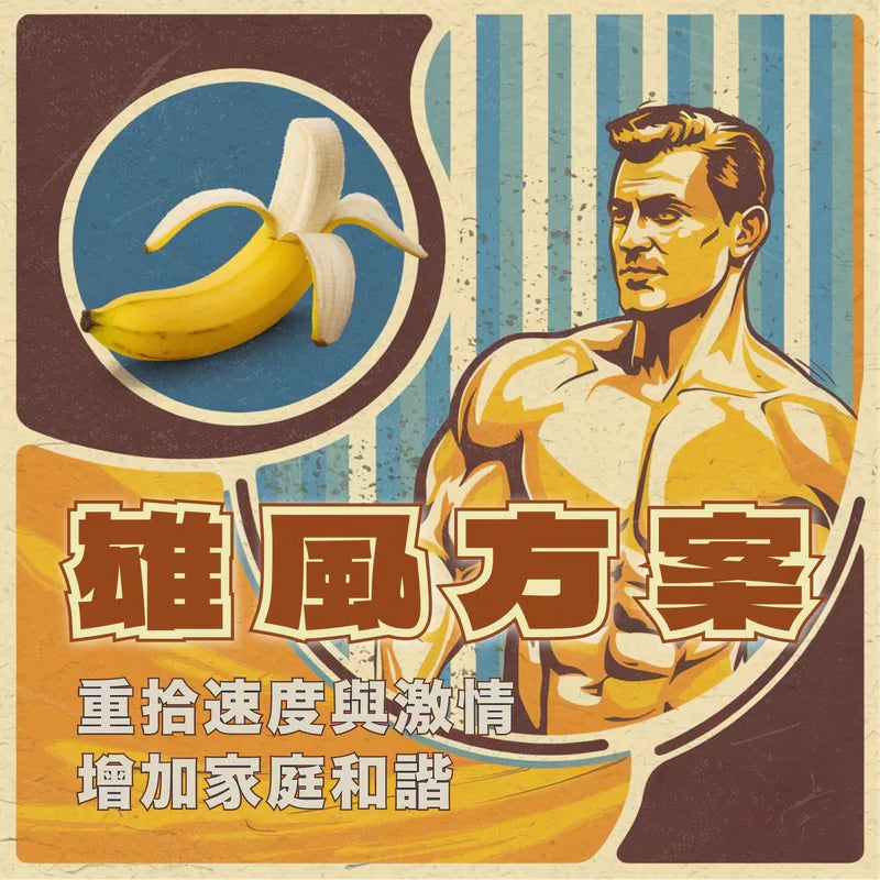 雄風方案