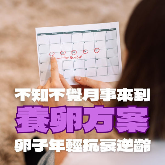 【5月出爐】養卵方案